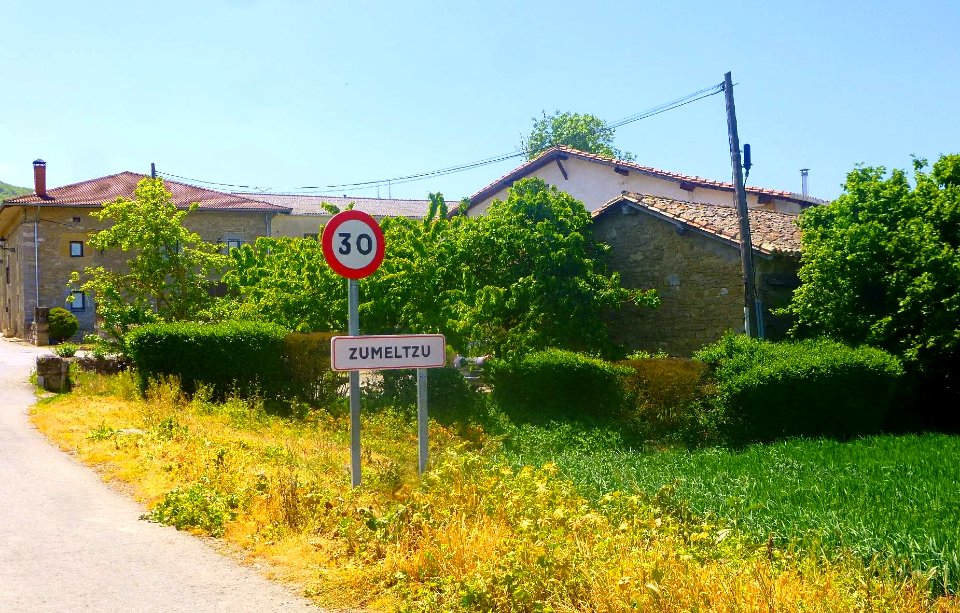 Zumelzu 07