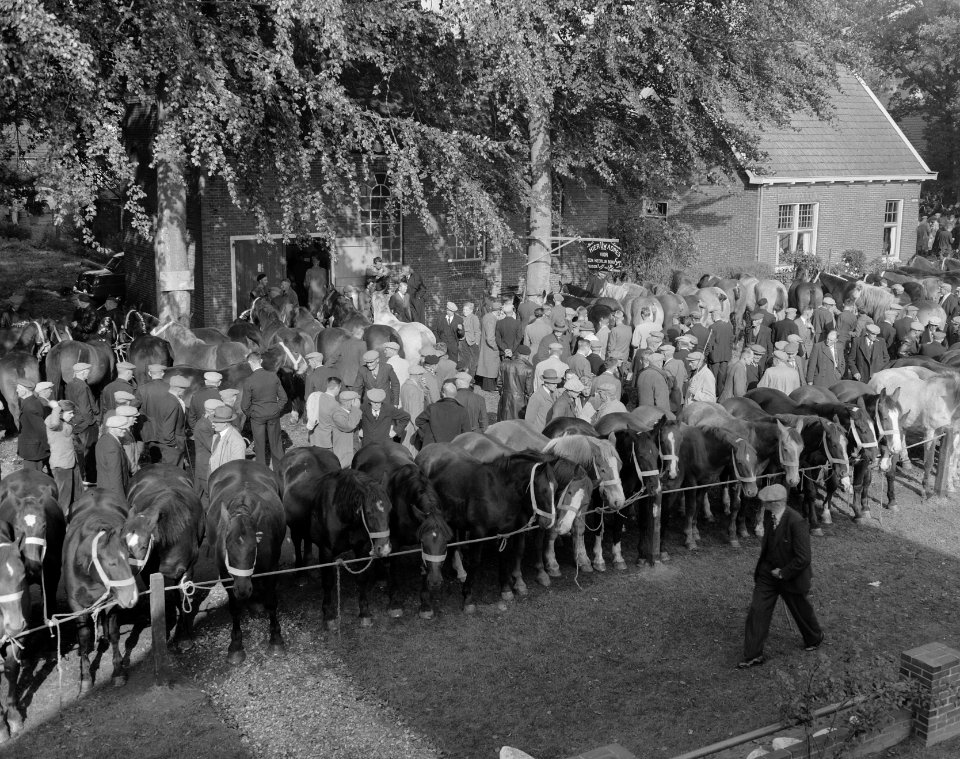 Zuidlaarder paardenmarkt, Bestanddeelnr 908-0716