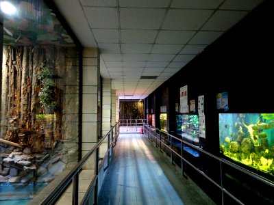 ZooBaneasa ReptilesAndFish