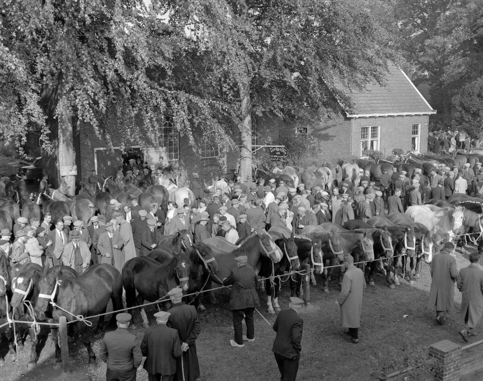 Zuidlaarder paardenmarkt, Bestanddeelnr 908-0720