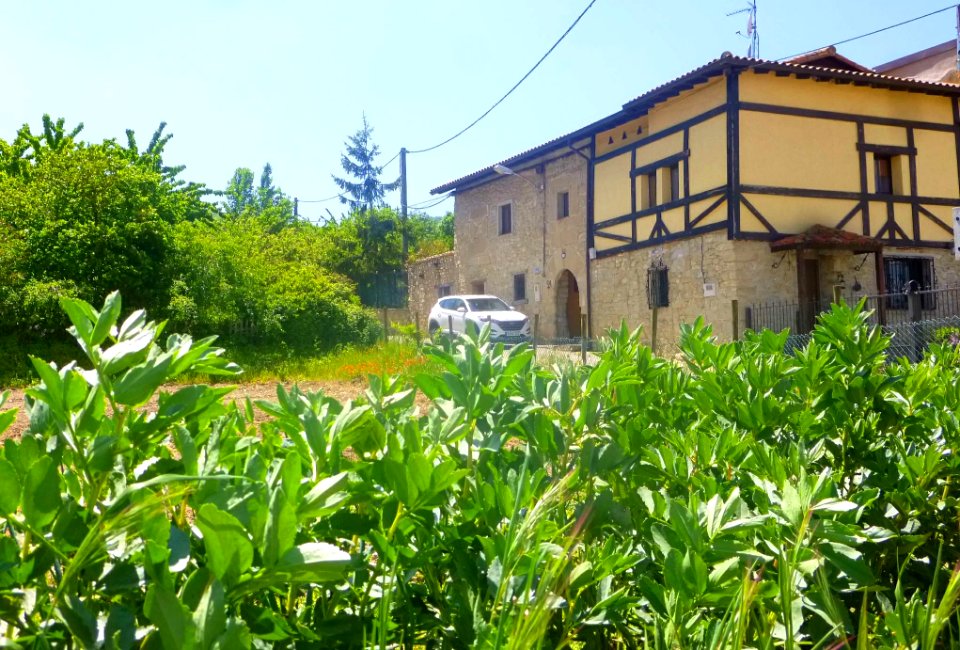 Zumelzu 14
