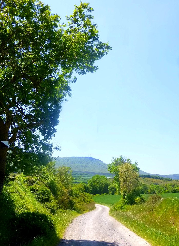 Zumelzu 01