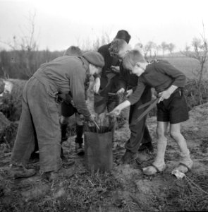 Zuid-Nederland. Reportage over de gevaren van mijnen en achtergelaten munitie vo, Bestanddeelnr 901-2860
