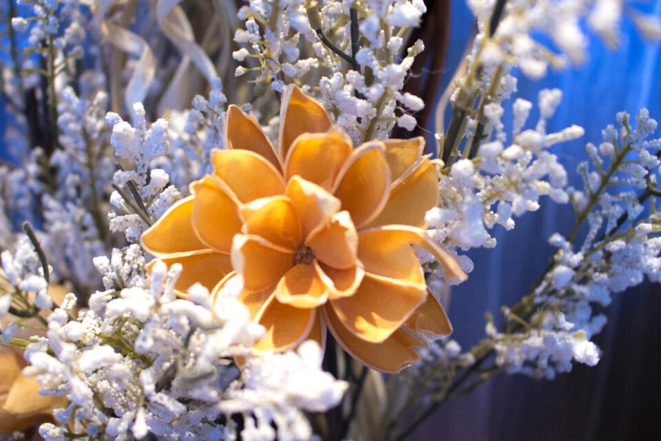 Season beautiful decoration
