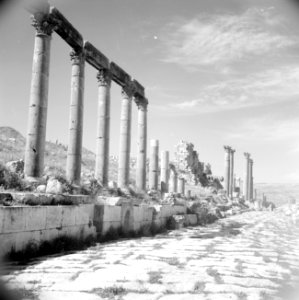 Zuilen galerij in Jerash, Bestanddeelnr 255-5718