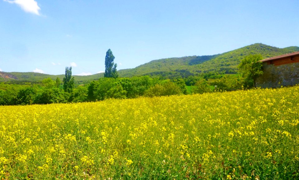 Zumelzu 06