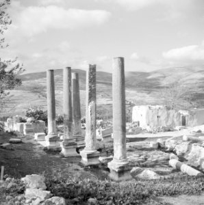 Zuilenrij als overblijfselen van de Romeinse acropolis in het dorp Sebaste (Seba, Bestanddeelnr 255-5597