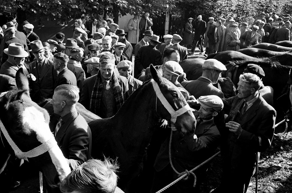 Zuidlaarder Paardenmarkt Overzicht drukte op de markt, Bestanddeelnr 915-6348
