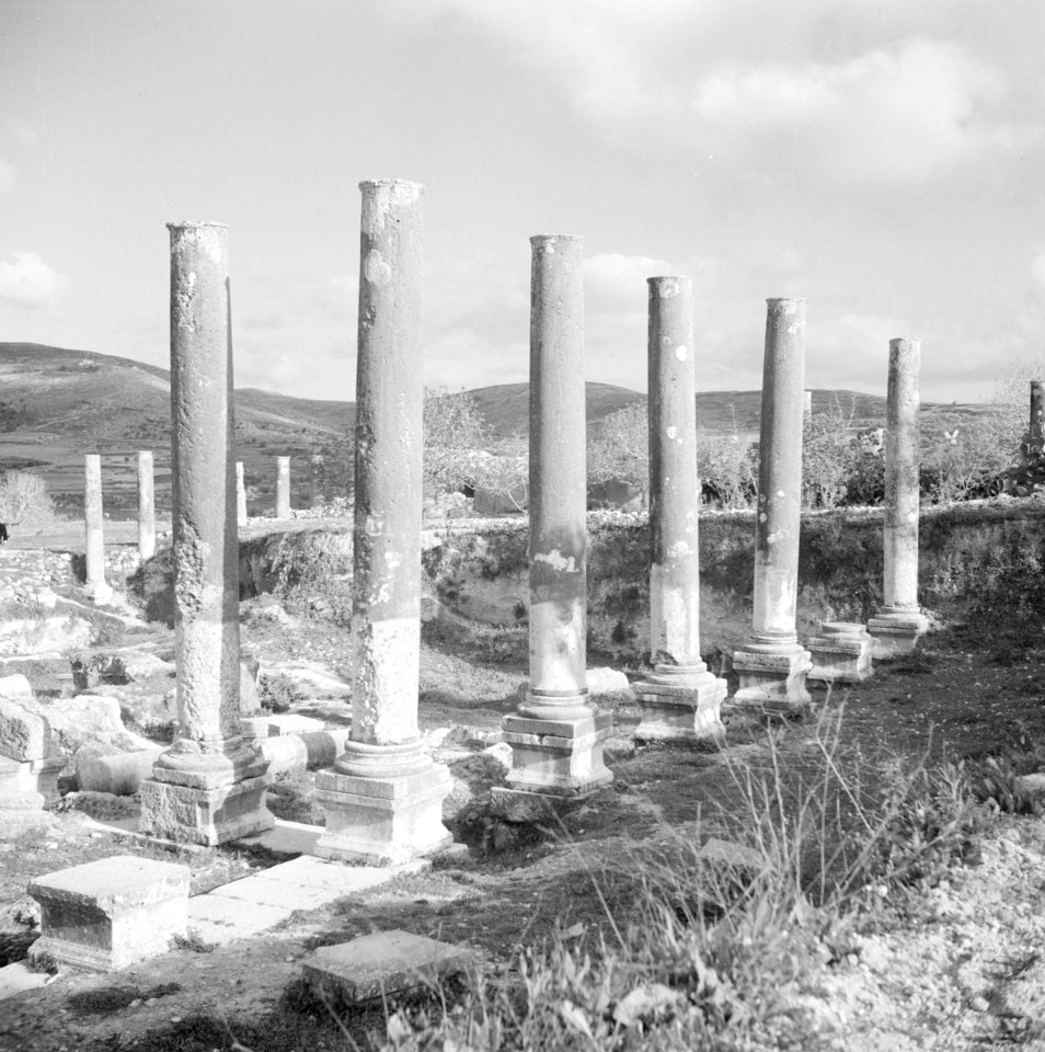 Zuilenrij als overblijfselen van de Romeinse acropolis in het dorp Sebaste (Seba, Bestanddeelnr 255-5596