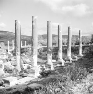 Zuilenrij als overblijfselen van de Romeinse acropolis in het dorp Sebaste (Seba, Bestanddeelnr 255-5596