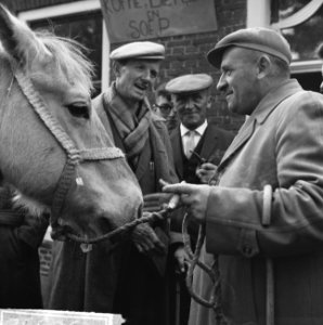 Zuidlaarder Paardenmarkt Overzicht drukte op de markt, Bestanddeelnr 915-6352