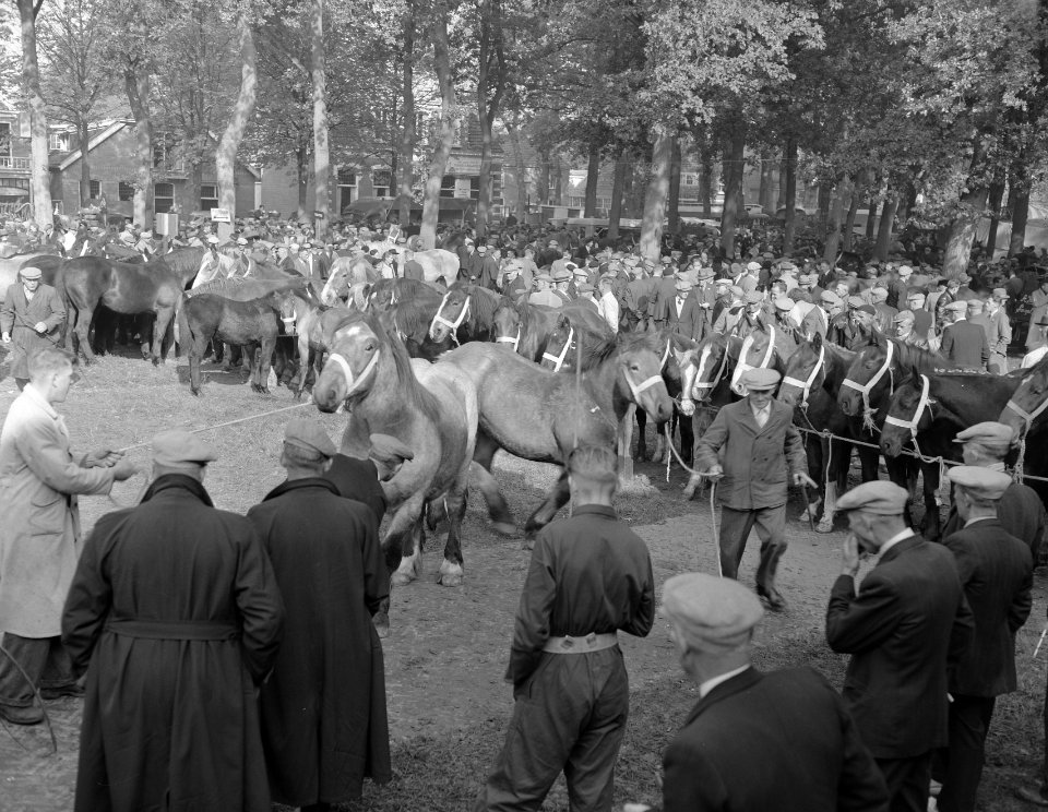 Zuidlaarder paardenmarkt, Bestanddeelnr 908-0718