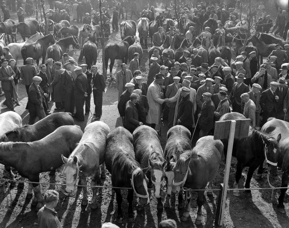 Zuidlaarder paardenmarkt, Bestanddeelnr 908-0721