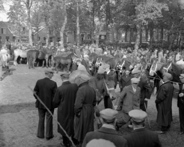 Zuidlaarder paardenmarkt, Bestanddeelnr 908-0714