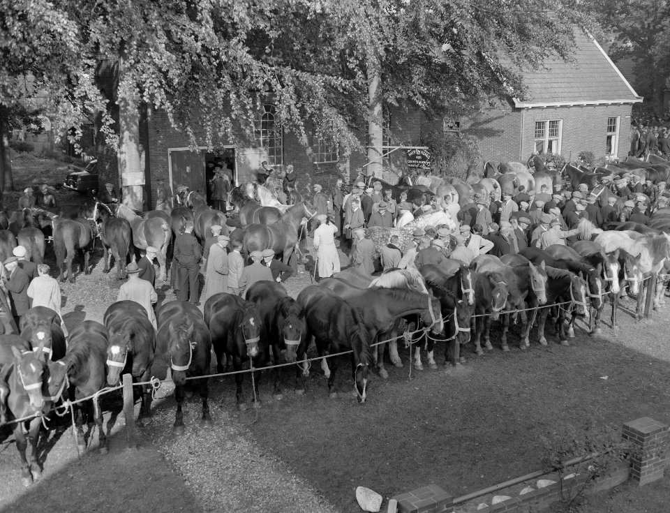 Zuidlaarder paardenmarkt, Bestanddeelnr 908-0715
