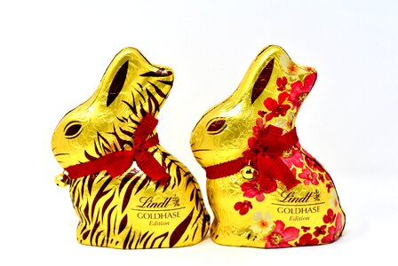 Delicious lindt sweetness photo
