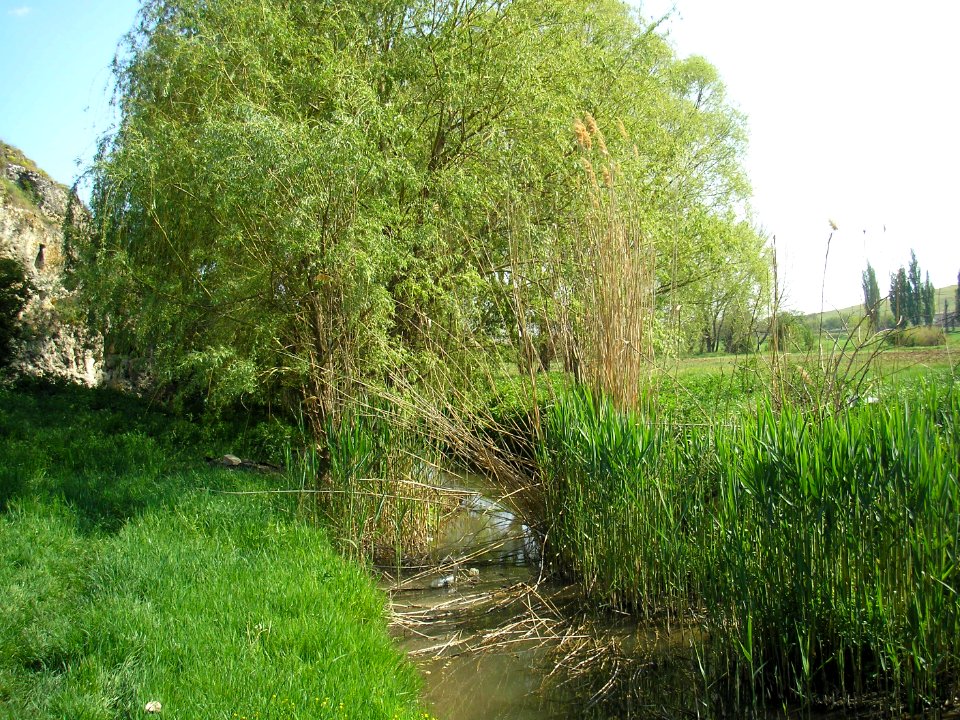 Zuyia River 1