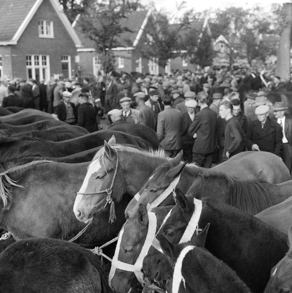 Zuidlaarder Paardenmarkt Overzicht drukte op de markt, Bestanddeelnr 915-6349
