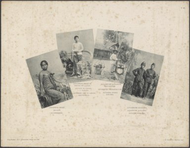 57. Battakgroep in Campong Lau Tapoe, Bestanddeelnr 851 33