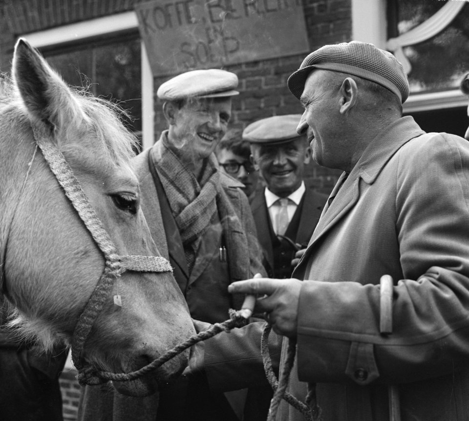 Zuidlaarder Paardenmarkt Overzicht drukte op de markt, Bestanddeelnr 915-6350