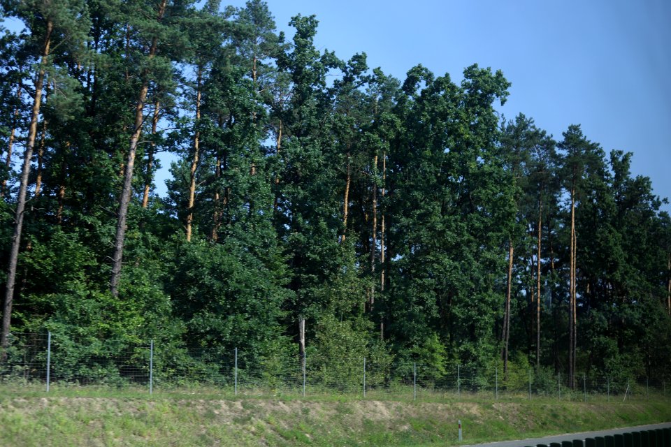 7076 August 2018 in Masovian Voivodeship