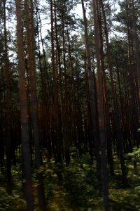 7085 August 2018 in Masovian Voivodeship