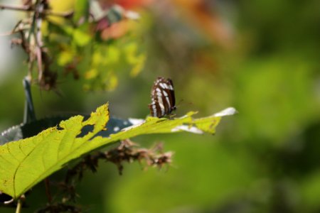 500px photo (241163425)