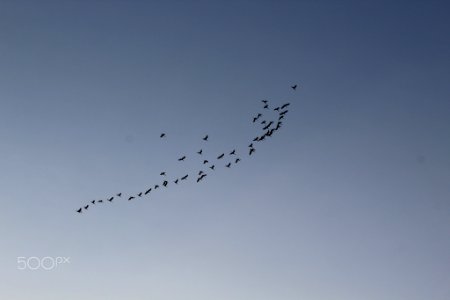 500px photo (236945621)