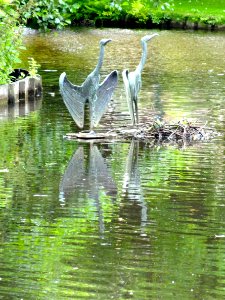 Aalscholvers2 Van Bergen IJzendoornpark Gouda