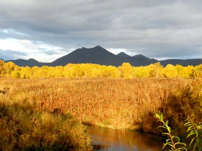 Golden autumn listopad trees photo