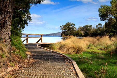 Landscape grass australia