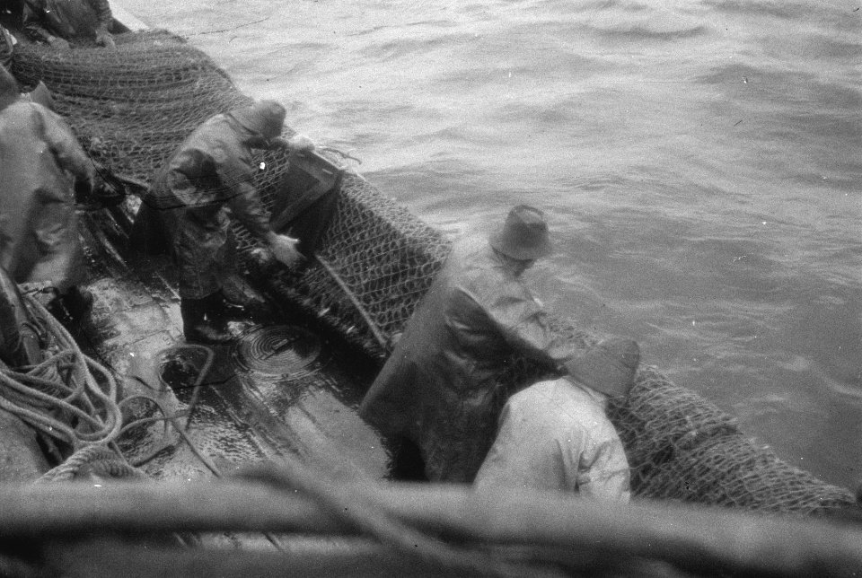 Aan boord van een Nederlandse vistrawler, Bestanddeelnr 935-3039
