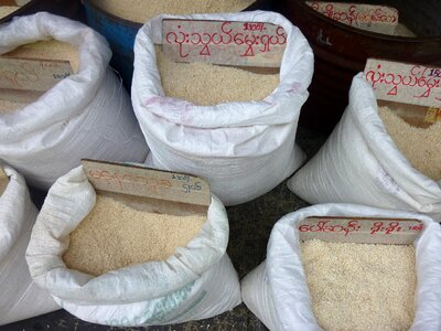 Myanmar food agriculture