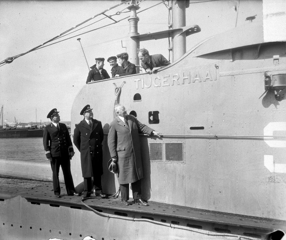 Aankomst Tijgerhaai te Rotterdam, Bestanddeelnr 904-5337