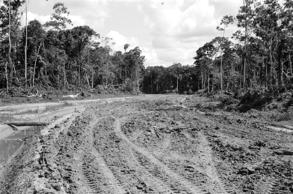 Aanleg wegen, bewerkt grond, Bestanddeelnr 251-3560