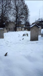 20190112 105443 Remuh Cemetery in Kraków january 2019