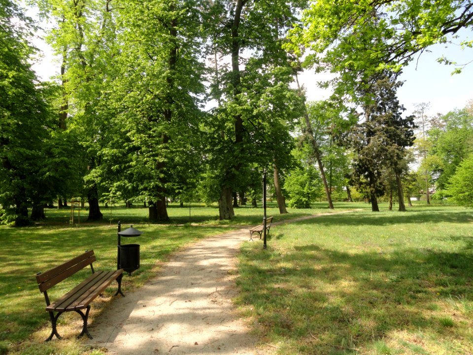 2019 Sanniki, park, 2