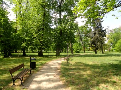 2019 Sanniki, park, 2