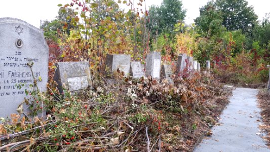 20171004 125929 Jewish cemetery in Bacău