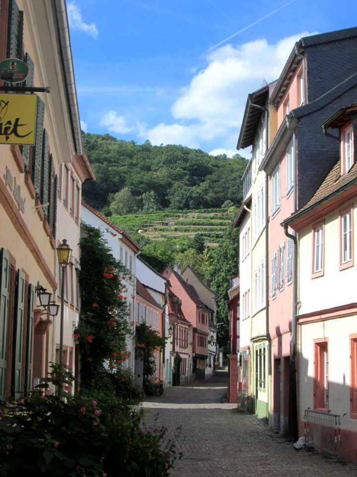 20180811Rathausstraße Neustadt1