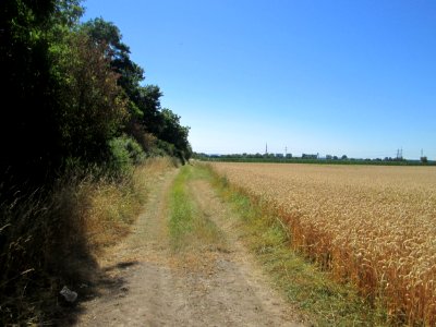 20180702Hockenheimer Rheinbogen