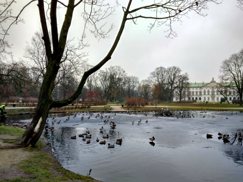 2018 Warszawa Ogród Krasińskich, 28