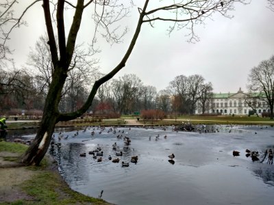 2018 Warszawa Ogród Krasińskich, 28