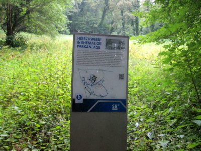 20200716Hirschwiese1