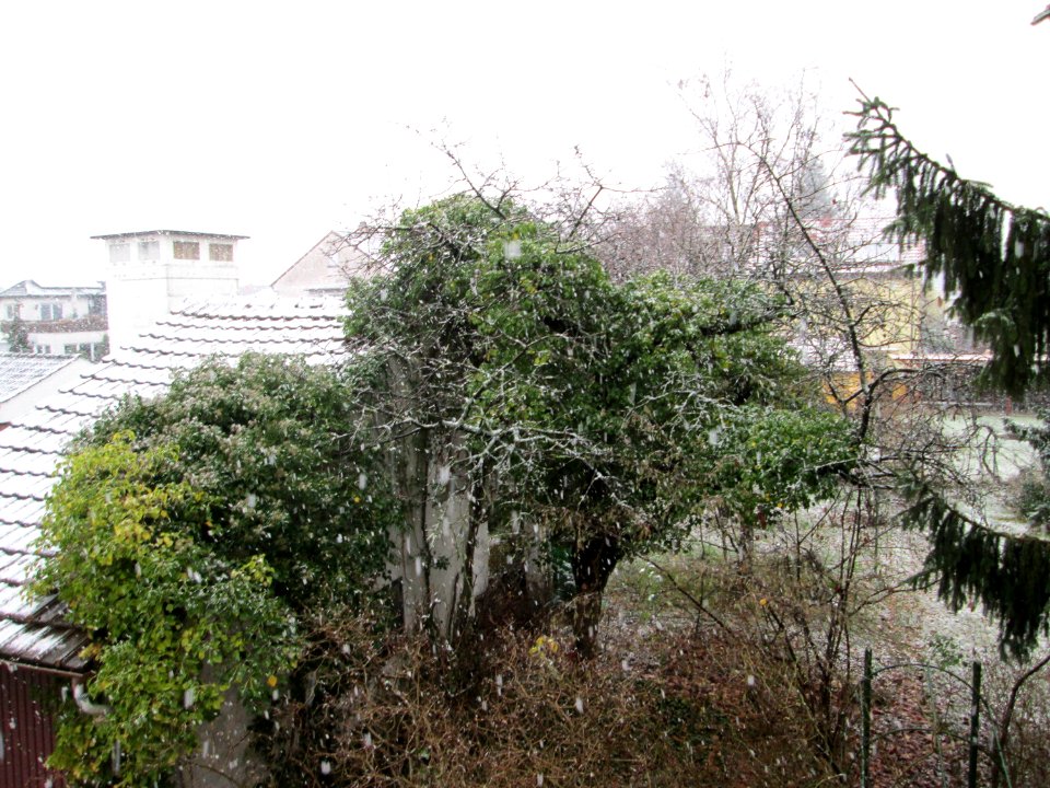 20171201Wintereinbruch Hockenheim1