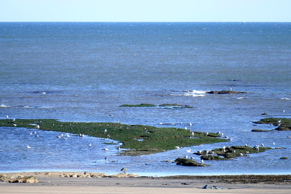 2018.09.29.122021 Seaton Carew UK