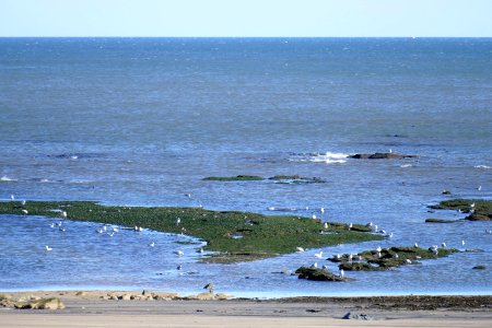 2018.09.29.122021 Seaton Carew UK