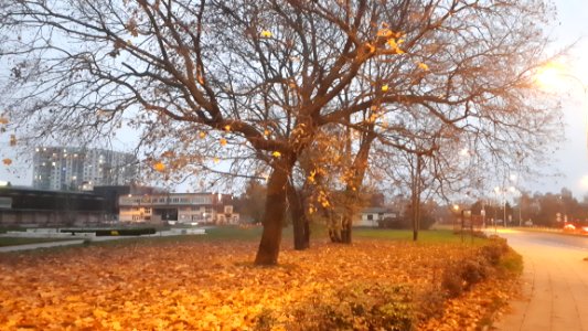 20201107 160505 November 2020 Białystok