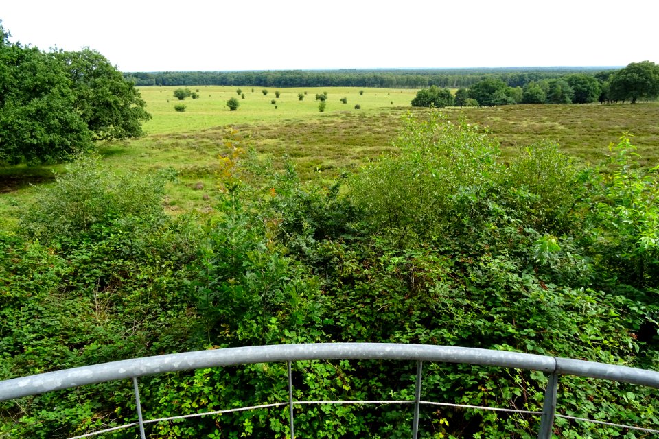20170802 Uitzicht vanaf de Valenberg1 Planken Wambuis
