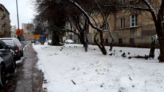 20181216 101408 ulica sterlinga lodz december 2018